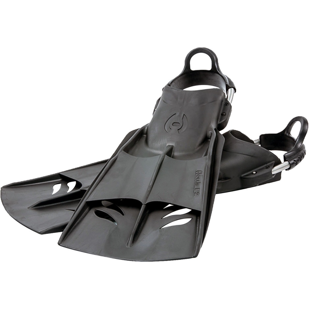 [061573] PALMES HOLLIS F2 (S)