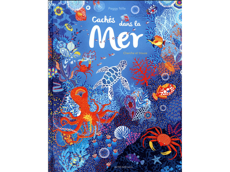 LIVRE CACHÉS DANS LA MER