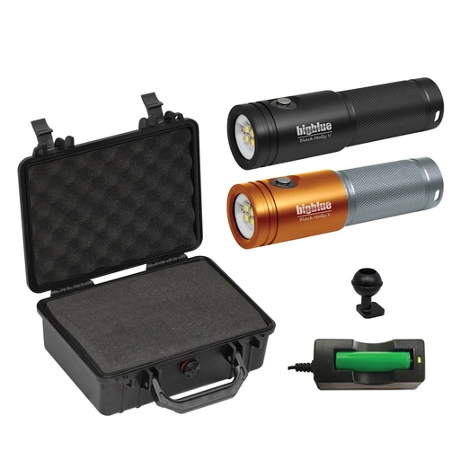 LAMPE BIG BLUE AL2600XWP II WITH PROTECTIVE CASE, BLACK MOLLY V