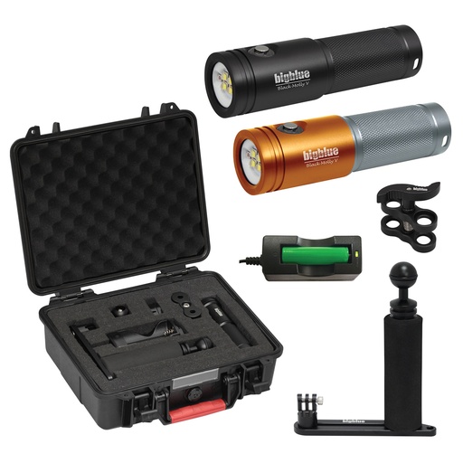 LAMPE BIG BLUE AL2600XWP II  WITH PROT. CASE & SINGLE ARM TRAY, BLACK MOLLY V