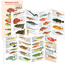 LIVRE LOGBOOK SUBLOG POISSON MEDITERANEE